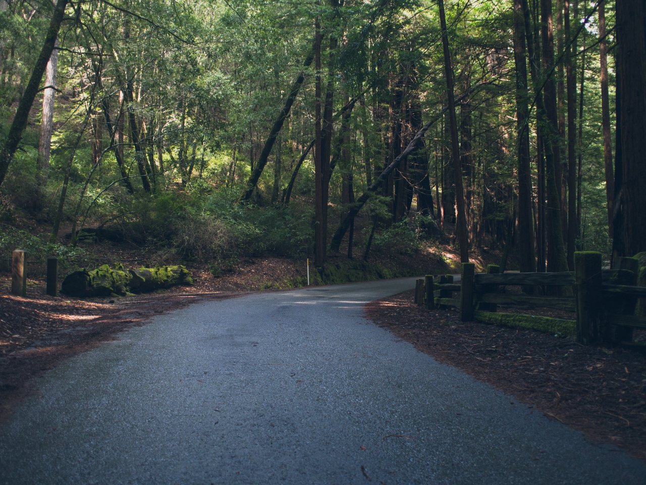 Big Basin 4