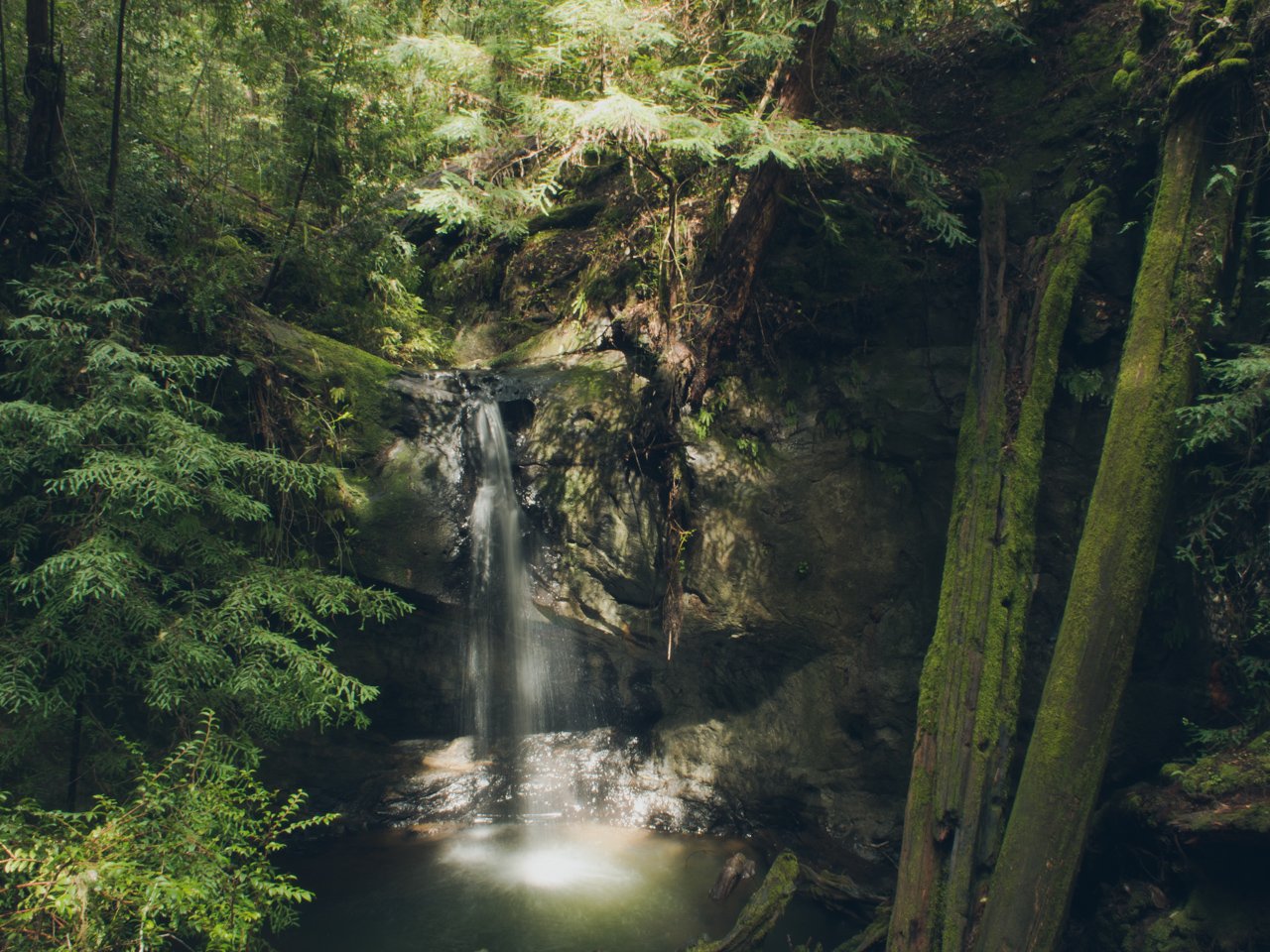 Big Basin 5