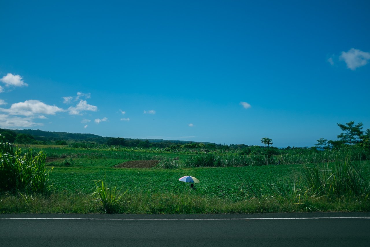 Big Island 2