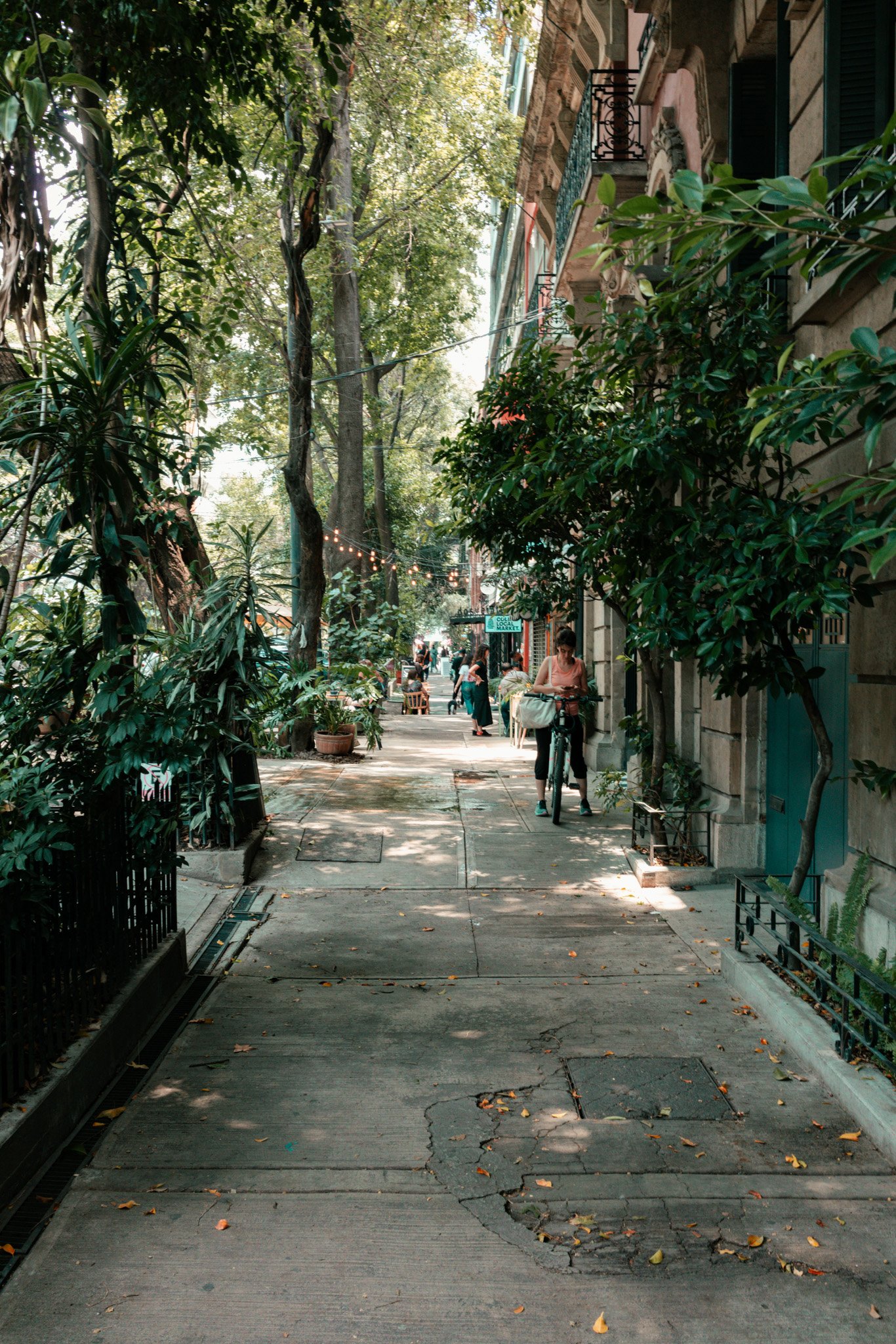 CDMX-11