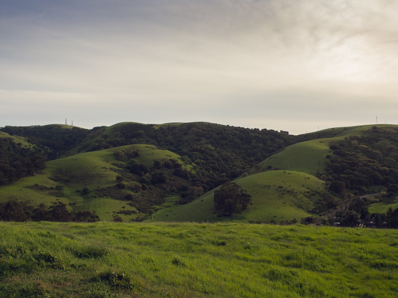 Carquinez 2
