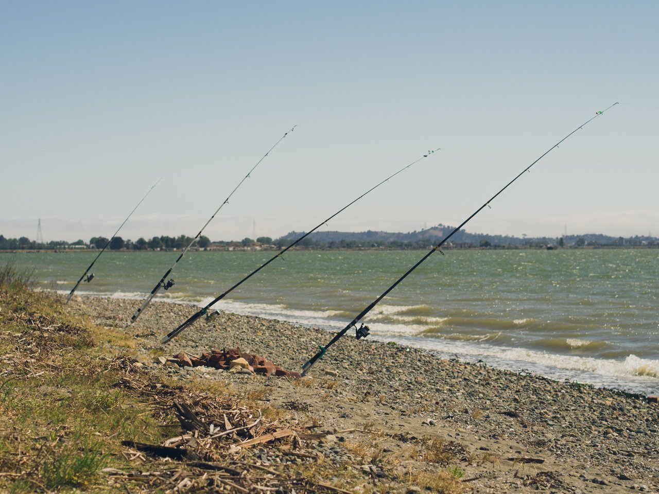 Pinole Point 1