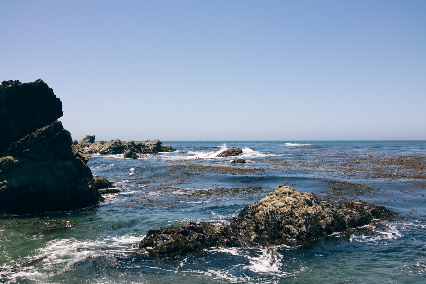 Point Lobos 1