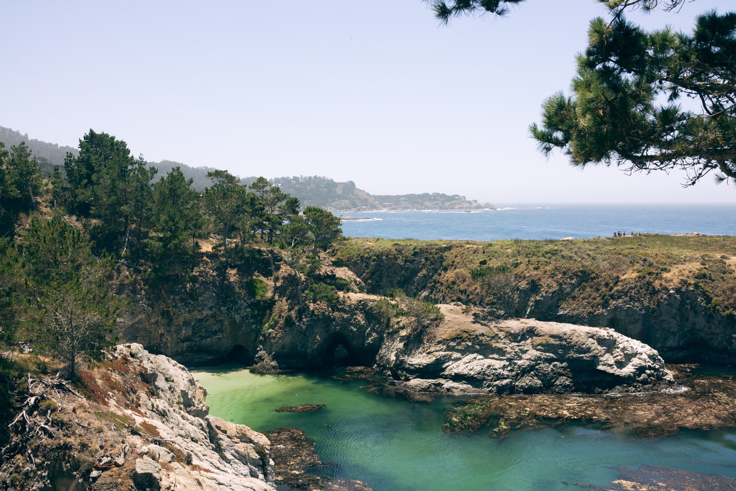 Point Lobos 2