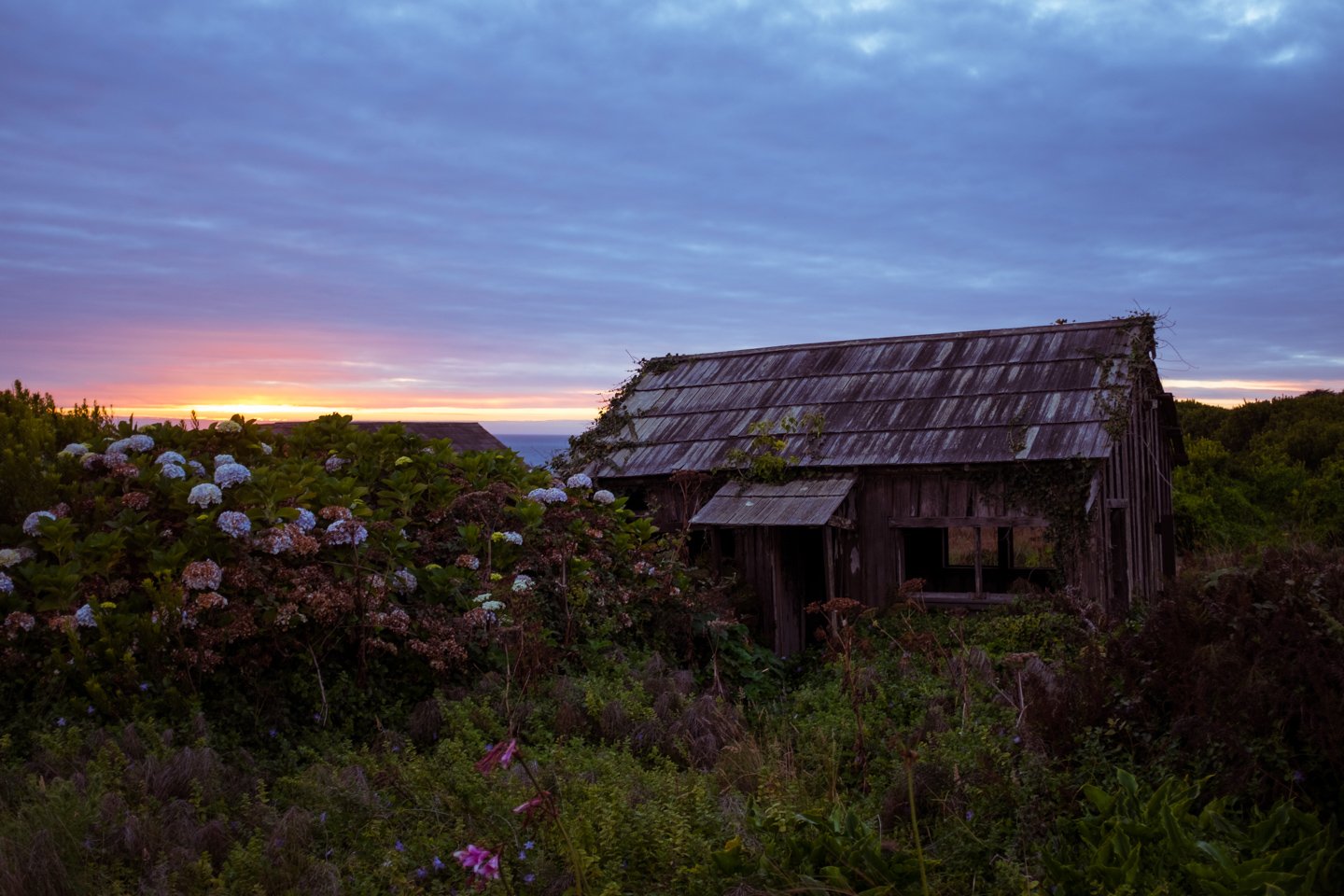 The Sea Ranch 3